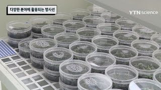 다양한 분야에 활용되는 방사선 / YTN 사이언스