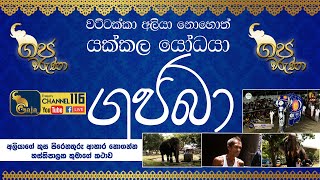 වට්ටක්කා අලියා නොහොත් යක්කල යෝධයා | GAJA TV | Gaja Waruna