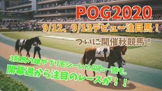 【POG2020】2歳新馬戦注目馬紹介（9/12、9/13）土曜中京のレースは大注目！！三冠馬の娘やプリモシーン似の馬など名血が激突。【今週の新馬戦】