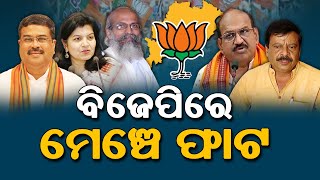 BJP Odisha: Is Bharatiya Janata Party (BJP) Odisha United or Divided Before 2024 General Election?