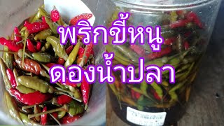 พริกขี้หนู​ดอง​น้ำปลาแซ่บๆ