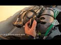 Scuba Diving Safety: Pinched Hose Gas Denial