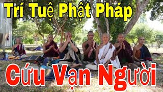 Nghẹn Ngào Thầy Minh Tuệ Tâm Sự Con Đường Tu Học Của Thầy và Các Sư Nhỏ