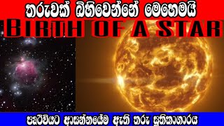 Birth of a Star | තරුවක් බිහිවෙන්නේ මෙහෙමයි | Vishwa danuma  #Birth_of_a_star