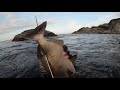 spearfishing 打魚 taiwan 東北角黑白毛 girella leonina go pro 7 black 4k sporasub sk 40