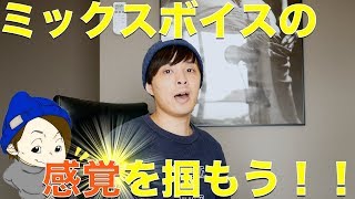 『ボイトレ』ミックスボイス(高音)感覚を掴もう！！(練習法）voice training- learn to sing　ボイストレー二ング