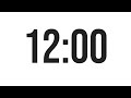 12 MINUTE TIMER - COUNTDOWN TIMER (MINIMAL)