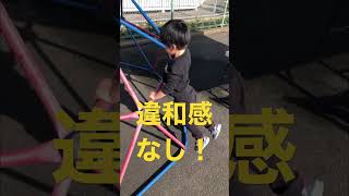 違和感なくジャングルジムで遊ぶ人 #shorts #逆再生