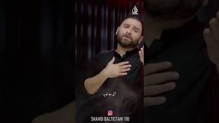 Mere Mazloom Ali - Shahid Baltistani - Noha Imam Ali #meremazloomali #shahidbaltistani #najaf #kofa