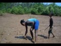 MANGROVE REFORESTATION  ( ANDRANOMAVO)