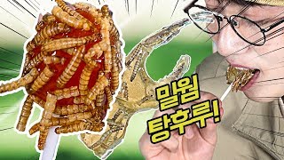 밀웜 탕후루 만들기! 곤충사탕은 어떤 맛?