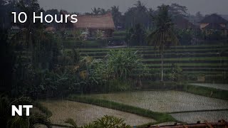How to Fall Asleep FAST: Try Relaxing RAIN Sounds on Tin Roof & Water | Tropical Heavy THUNDERSTORM