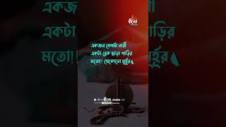 একজন বেপর্দা নারী। শিক্ষামূলক ভিডিও#shorts #youtubeshorts #status #islamicstatus #vairalshorts #tune