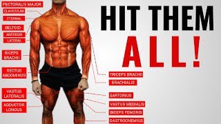 The Best Science-Based Full Body Workout for Growth (WORKOUT “A”)