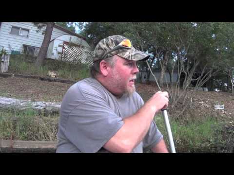 Fishing With Crickets Fishing With Crickets