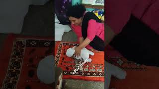 First Namaz #viral #viralvideo #viralshorts #reels #shorts #short #shortvideo #song