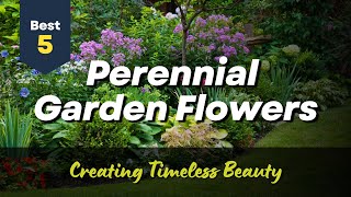 5 Perennial Flowers for Your Garden: Creating Timeless Beauty