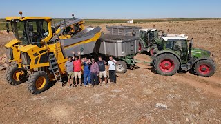 Harvesting grapes in El Toboso with the Gregoire GL8.4