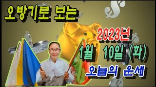 오방기로 보는 2023년 1월 10일( 오늘의운세)   \