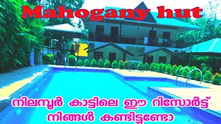 നിലമ്പൂർ കാട്ടിലെ റിസോർട്ടിലേക്കൊരു യാത്ര #malappuramchengayi