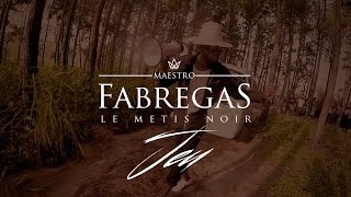 Fabregas Le Métis Noir - Jeu