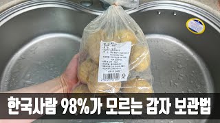 감자 싹 안나게 보관하는 방법! 마트 사장님이 방법을 알려줘 너무 감사하네요