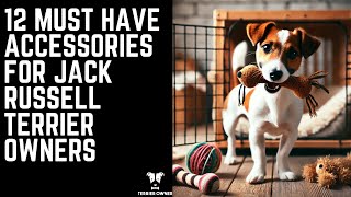 12 Must Have Accessories for Jack Russell Terrier Owners