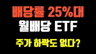 국내에선 잘 알려지지 않은 배당률 25%대 월배당 ETF