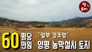 경기도 양평 강하면 농막 가능 토지 땅 급매 농가 주택 토지 땅 매매 강조망 땅 토지 농지원부 가능 귀농 귀촌 땅 토지 급매 매매 텃밭 농사 땅 토지 급매물