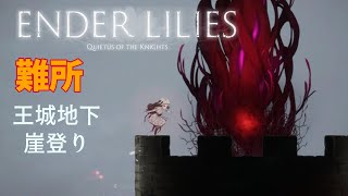 ENDER LILIES 難所 王城地下 崖登り