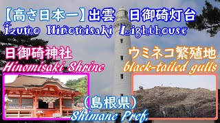 日本一の「日御碕灯台」とウミネコ繁殖地（島根県）\