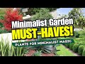 Top 10 Plants to Achieve the Perfect Minimalist Garden Look 💕 // MINIMALIST GARDEN MUST-HAVES!