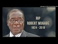 born free crew feat. robert mugabe diaspora