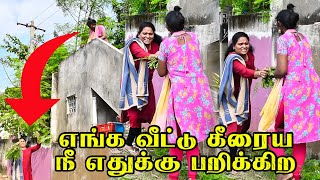 அரகீறை புளிச்ச கீரை முருங்கை கீர நீ மேல நிக்கிற | RAANGURADHA | COMEDY | #raanguradha #comedyvideos