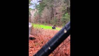 Epic turkey hunt-Gobbler vs decoy