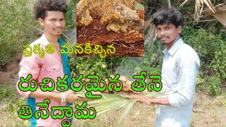 ప్రకృతి సహజంగా మనకిచ్చిన తియ్యని తేనె (natural sweet honey)#honey #tribal culture #tribal food