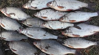 🚲ДЕСНА. ПЛОТВА ІДЕ 🐟 Багато затоплених шляхів...