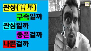 관성은 구속일까, 관심일까? - 관성 강한 사주의 특징