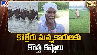 Story Gate : కొల్లేరు మత్స్యకారులకు కొత్త కష్టాలు | Special Story On Kolleru Lake - TV9