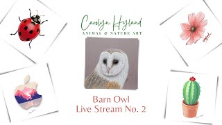 Barn Owl Live Stream 2 | Pastels
