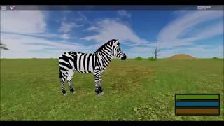 Ludicrous Cunning Fox Videos 9tubetv - 