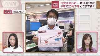 【解説】止まらぬ円安1ドル一時141円台に　半年で25円下落　どこまで続く？(2022年9月6日)