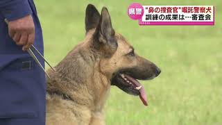 【“鼻”の捜査官】嘱託警察犬の審査会…シェパードなど１０頭が参加　《新潟》