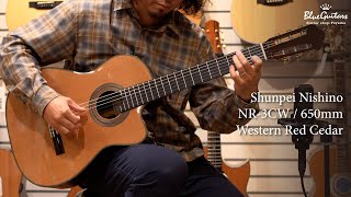 Blue Guitars - Shunpei Nishino 西野春平 / NR-3CW 650mm Western Red Cedar