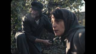 A new perspective - Trailer