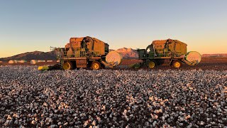 Rough Last Day of Cotton Harvest