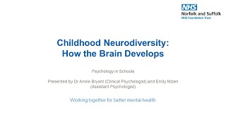 Childhood Neurodiversity: How the Brain Develops