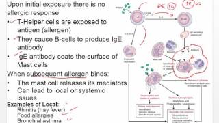 Chapter 16 Video   Disorders of Immune Response