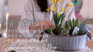 Wait for spring 🌿Planting spring bulbs /Korean House Interior 