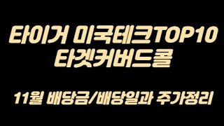 월배당ETF 타이거 미국테크탑TOP10 타겟커버드콜 11월 배당금/배당일과 주가 정리